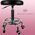 Beautylushh STOŁEK FRYZJERSKI- HOKER SF23505