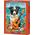 Castorland Puzzle 500 Collie, Guitar and the Sea CASTOR