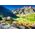 Castorland Puzzle 1500 Sunrise at Morskie Oko, Poland CASTOR