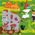 Czytaj z Albikiem książka My First Book of Opposites 4+