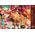 Trefl Puzzle 1000 elementów Premium Wszystko co przyjemne