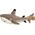 ECO NATION AURORA Eco Nation Plush Shark, 38 cm