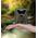 Kamera Braun Phototechnik Braun Scouting Cam Black200A mini