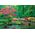 Clementoni CLE puzzle 1000 PeaceCol.Raindrops Lullaby 35528