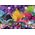 Clementoni CLE puzzle 104 Brilliant Trolls 3 20191