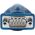Kabel USB StarTech USB-A - DB-9 0.4 m Przezroczysty (ICUSB232V2)