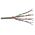 Digitus Kabel sieciowy, Cat6, U-UTP, 305m (ACU-4611-305)