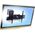 Ergotron Uchwyt ścienny 60-600-009 32'' - 52''