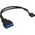 InLine USB 19 pin - USB 9 pin, 0.15m, Czarny (33449I)