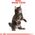Royal Canin Maine Coon Kitten karma sucha dla kociąt, do 15 miesiąca, rasy maine coon 2kg