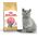 Royal Canin British Shorthair Kitten karma sucha dla kociąt, do 12 miesiąca, rasy brytyjski krótkowłosy 2kg
