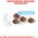 Royal Canin Mother & Babycat 36 0,4 kg