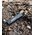 Pendrive iStorage 4 GB  (IS-FL-DA-256-4)