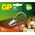 GP Lighting Filament Mini Globe (078111-LDCE1)