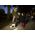 Flexi Lampka Led Lighting System czarna (89588)