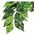 Hagen EXOTERRA ROŚLINA FICUS S