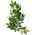 Hagen EXOTERRA ROŚLINA FICUS S