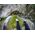 EasyPix GoXtreme uchwyt (55235)