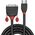 Kabel Lindy HDMI - DVI-D 10m czarny (36275)