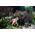 Fiskars Świder glebowy L 200mm (134730)