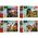 Trefl PUZZLE 20EL MINIMAXI TREFL 21136 POZNAJ SWIAT DI
