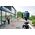 Bosch Niwelator laserowy GRL 250 HV czerwony 120 m