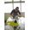 Ryobi Pilarka do cięcia płytek na mokro 178mm 500W (WS721S)