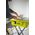 Ryobi Pilarka do cięcia płytek na mokro 178mm 500W (WS721S)