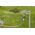 Gardena Szybkozłącze 13 mm (1/2 ") - 15 mm (5/8") (18255-50)