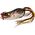 Savage Gear 3D Pop Frog 5,5cm 14g Brown Frog (62027)
