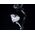 SPANNINGA Lampka przednia Swingo XB 10luxów/50 lumenów+ baterie chrom (SNG-H070017)
