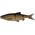 Savage Gear 3D LB Roach Swim n Jerk 7.5cm 4g 4szt. Dirty Roach (57436)
