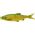 Savage Gear 3D LB Roach Swim n Jerk 10cm 10g 3szt. Firetiger (57440)
