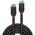 Kabel Lindy DisplayPort - DisplayPort 0.5m czarny (36490)