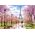 Castorland Puzzle Romantic Walk in Paris 1000 elementów
