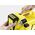 Odkurzacz ręczny Karcher WD 1 Compact Battery Set