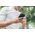Moshi Etui Moshi Capto do iPhone Xs Max (Mulberry Black)