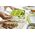 Emsa Emsa Clip&Go Brunchbox 518099 1,2l Transparent/Green
