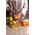 Microplane Tarka z drobnym ostrzem do warzyw / sera Microplane Premium Zester uniwersalny