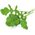 Click And Grow Refill rukola 3-pak