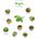 Click And Grow Refill rukola 3-pak