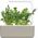 Click And Grow Refill rukola 3-pak