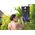 Bestway BW Solar-Dusche 20 l Solar-Pro - 58224