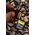 Karta Sony SF-G Tough SDHC 64 GB Class 10 UHS-II/U3 V90 (SF64TG)