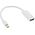 Adapter AV InLine DisplayPort Mini - HDMI biały (17193K)