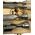 Kirschen Kirschen Firmer Chisel Set 1141 HK in Wooden Box 1141000