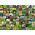 Ravensburger Puzzle 1000 elementów 99 Ziół