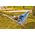 Royokamp  Hamak Classic XXL 2 osobowy 250x150cm