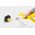 Karcher Podkaszarka LTR 18-25 Set (1.444-301.0)