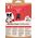8in1 8in1 Perfect Coat DeShedder Dog M - narzędzie do wyczesywania podszerstka dla psa M